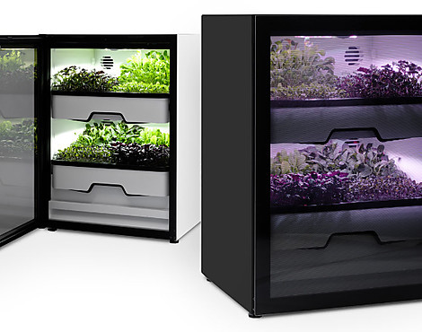 Agrulation Plantcube schwarz - Agrulation Plantcube
