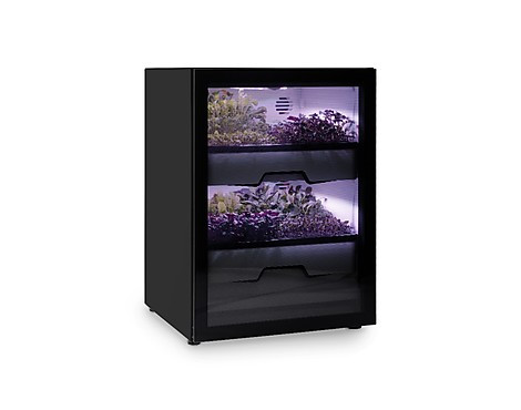 Plantcube Schwarz - Plantcube