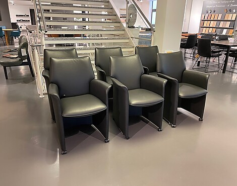 6 x Sessel Esszimmerstuhl - Tamarinde Plus