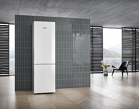 Miele Stand-Kühl-Gefrier Kombination KFN 29683 - Miele KFN 29283