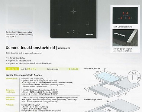 Domino Induktionskochfeld - DIK 31 S