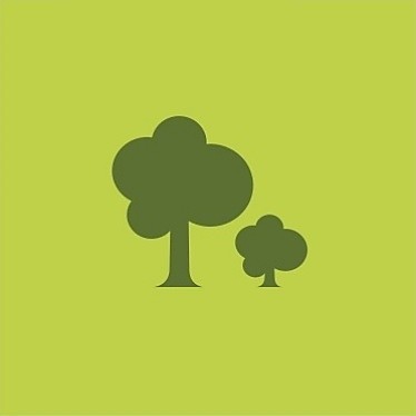 Die GreenLine Küchen sind nachhaltig und schonen die Wälder.
