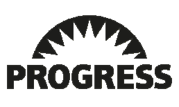 progress-2